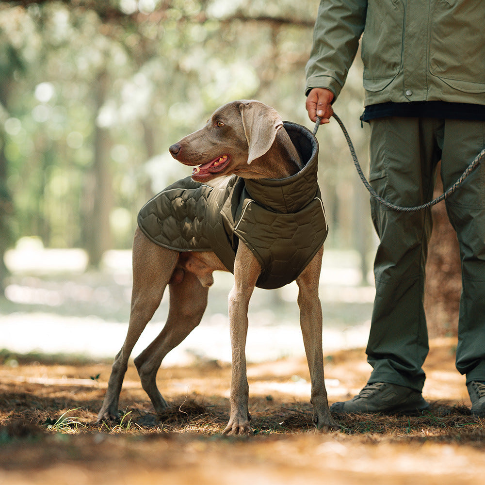Winter dog clothing