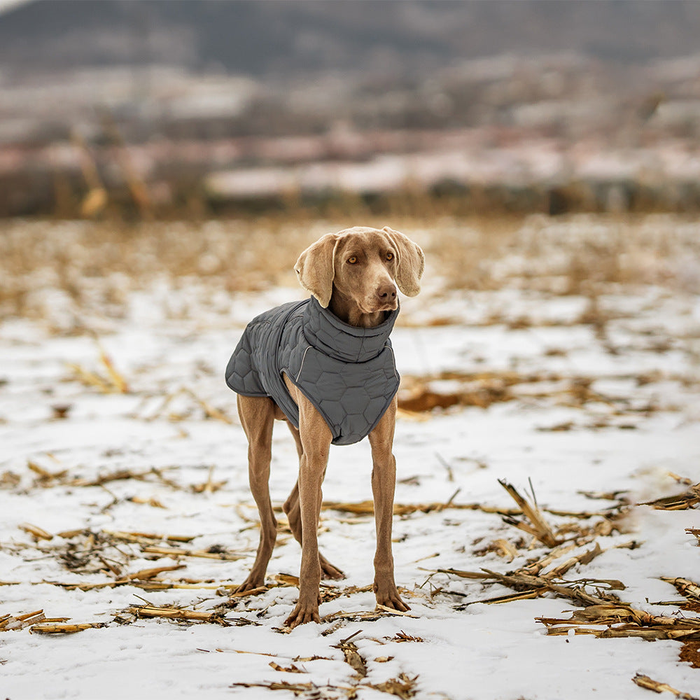 Winter dog clothing