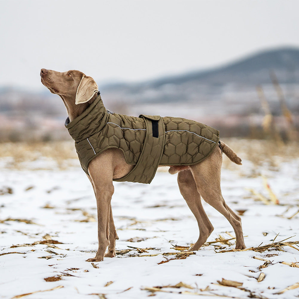 Winter dog clothing